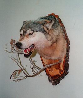 TIMBER WOLF-TWSH5 TIMBER WOLF-TWSH5