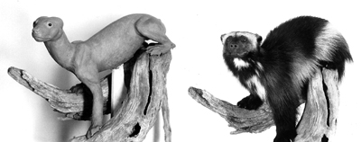 WOLVERINE-W26 WOLVERINE-W26