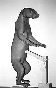 WOLVERINE-W30 WOLVERINE-W30