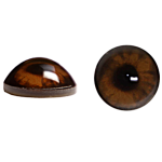 BEAR EYES- 18mm Unbanded Medium