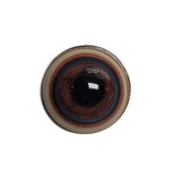 BEAR EYES- Competition 14/19mm - Image 1