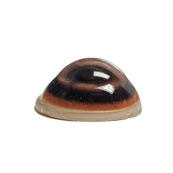 BEAR EYES- Competition 14/19mm - Image 2