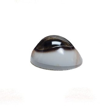 DEER EYES- 28mm  Implant Quality (Discontinued Tohickon- Only 8 pairs left!) - Image 2