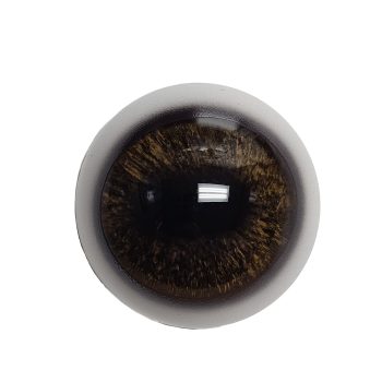 DEER EYES- 34mm Optech Forward Look (Discontinued Tohickon- Only 20 pairs left!) - Image 1