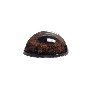 BEAR EYES- Unbanded 14mm - Image 2