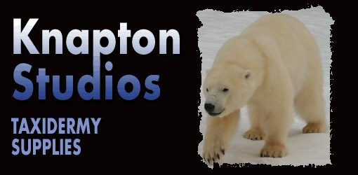 Knapton Studios, Inc.