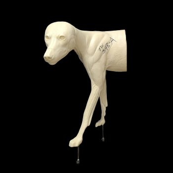 TIMBER WOLF-TW348-A5 - Image 1