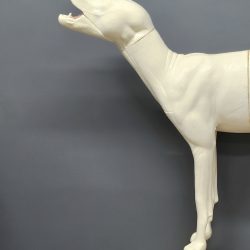 TIMBER WOLF-TW348-H5