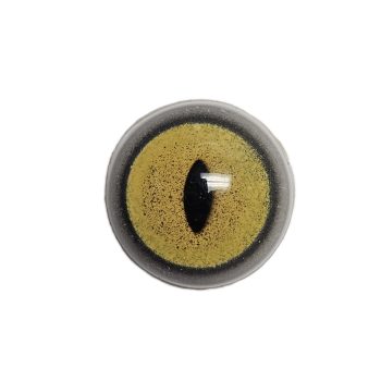 BOBCAT EYES- 16mm white banded - Image 1
