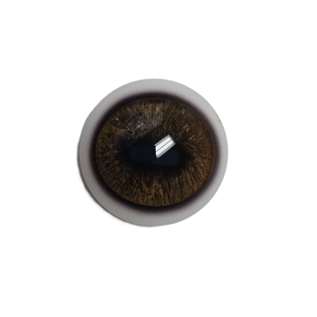 DEER EYES- 28mm Optech White Base (Discontinued Tohickon- Only 13 pairs left!) - Image 1