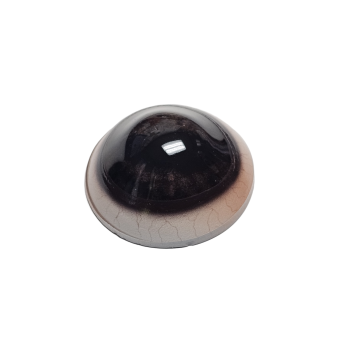 DEER EYES- 32mm Natural Eye Forward Look Dark - Image 3