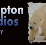 Knapton Studios taxidermy supplies