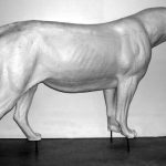 AFRICAN LION-AFL100