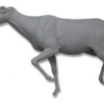 CARIBOU-CA367