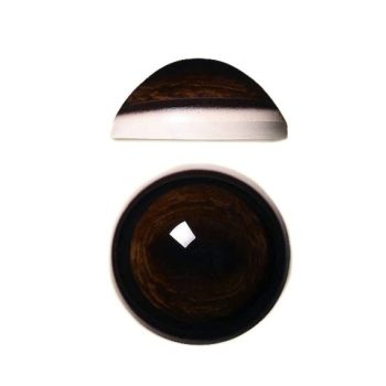 DEER EYES- 32mm Forward Look Medium - Image 1