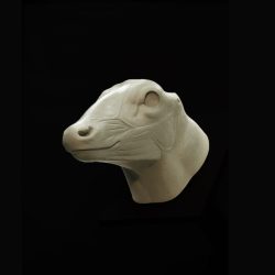 WHITETAIL DEER-WTCOH-2